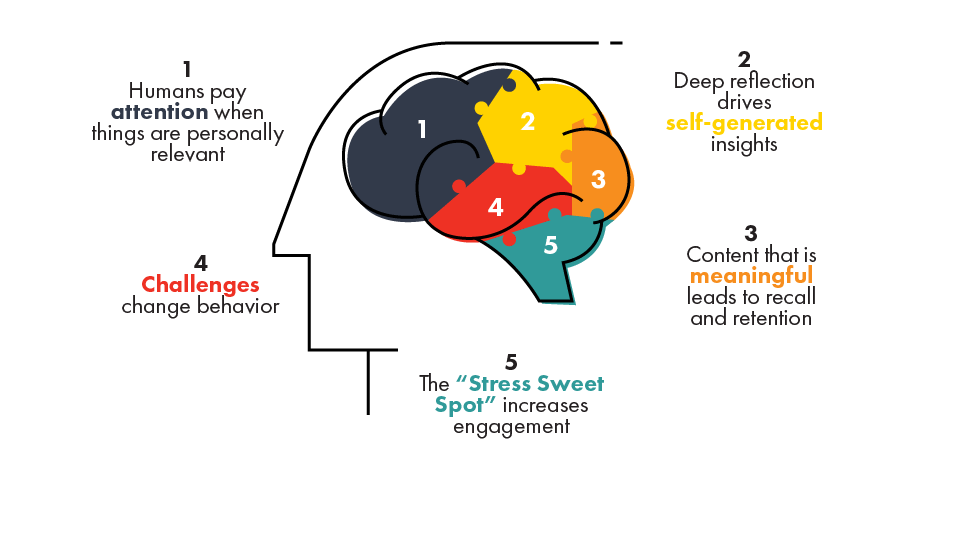 Neuroscience-Highlights-1